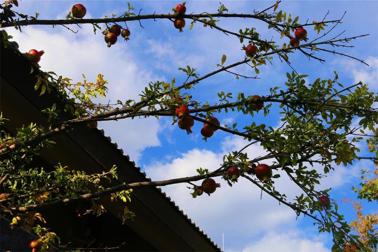 Howard Johnson Jinlin Plaza Lijiang Lijiang  Esterno foto
